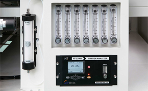 大香蕉大香蕉在线的氮气香蕉视频下载污有哪些特点